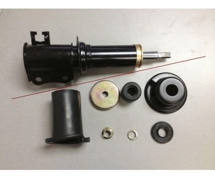 Shock absorber / strut